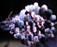 photos-12.jpg